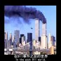 Harvard Open Class Video: aim high concentrate full English subtitles 1CD 15 SALE