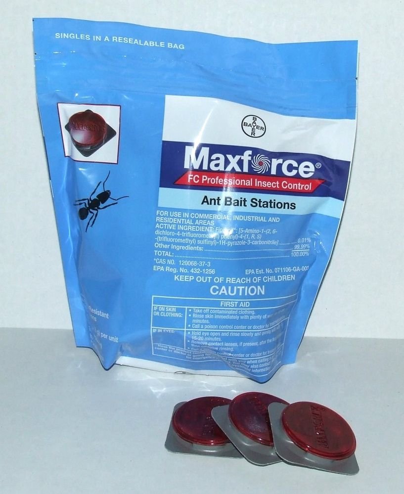Maxforce FC Ant Bait Stations with fipronil odorous house crazy