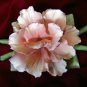 Dea Capodimonte Made Pink Rose