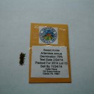 Organic Sweet Annie 200 Seeds
