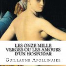 Les Onze mille verges ou les Amours d'un hospodar