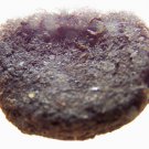 worm castings microbe brew tablets soil amendment plant food fertilizer.