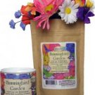 Hummingbird Garden Kit