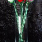 Glass Rose