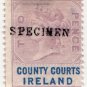 (I.B) QV Revenue : County Courts Ireland 2d