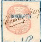 (I.B) QV Revenue : Bankruptcy 3d (1869)