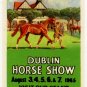 (I.B) Ireland Cinderella : Dublin Horse Show 1965