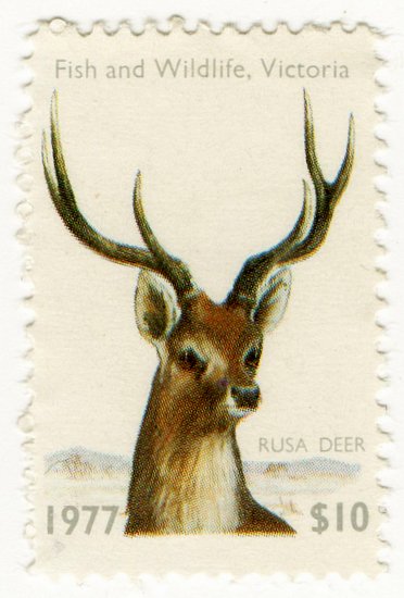 (I.B) Australia - Victoria Revenue : Hunting Tax $10 (1977)