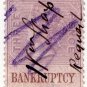 (I.B) QV Revenue : Bankruptcy 3d (inverted watermark)