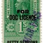 (I.B) George V Revenue : Dog Licence (Northern Ireland) 1/-