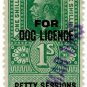 (I.B) George V Revenue : Dog Licence (Northern Ireland) 1/-