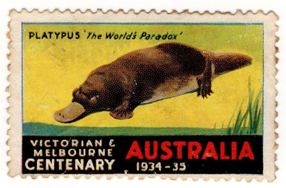 (I.B) Australia Cinderella : Victoria Centenary 1934 (Platypus)