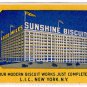 (I.B) US Cinderella : Sunshine Biscuits (New York)