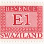 (I.B) Swaziland Revenue : Duty E1