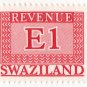 (I.B) Swaziland Revenue : Duty E1