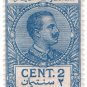 (I.B) Italy (Libya) Revenue : Duty Stamp 2c (1918)