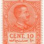 (I.B) Italy (Libya) Revenue : Duty Stamp 10c (1916)