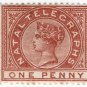 (I.B) Natal Telegraphs : 1d Brown