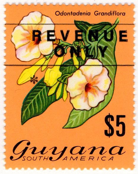 (I.B) British Guiana (Guyana) Revenue : Duty $5