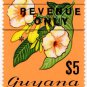 (I.B) British Guiana (Guyana) Revenue : Duty $5