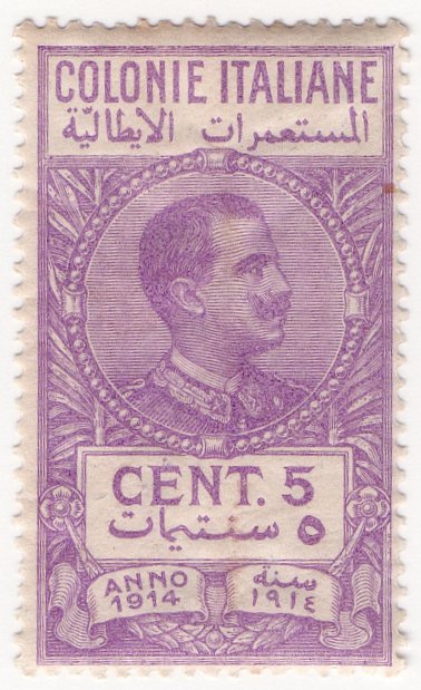 (I.B) Italy (Libya) Revenue : Duty Stamp 5c (1914)