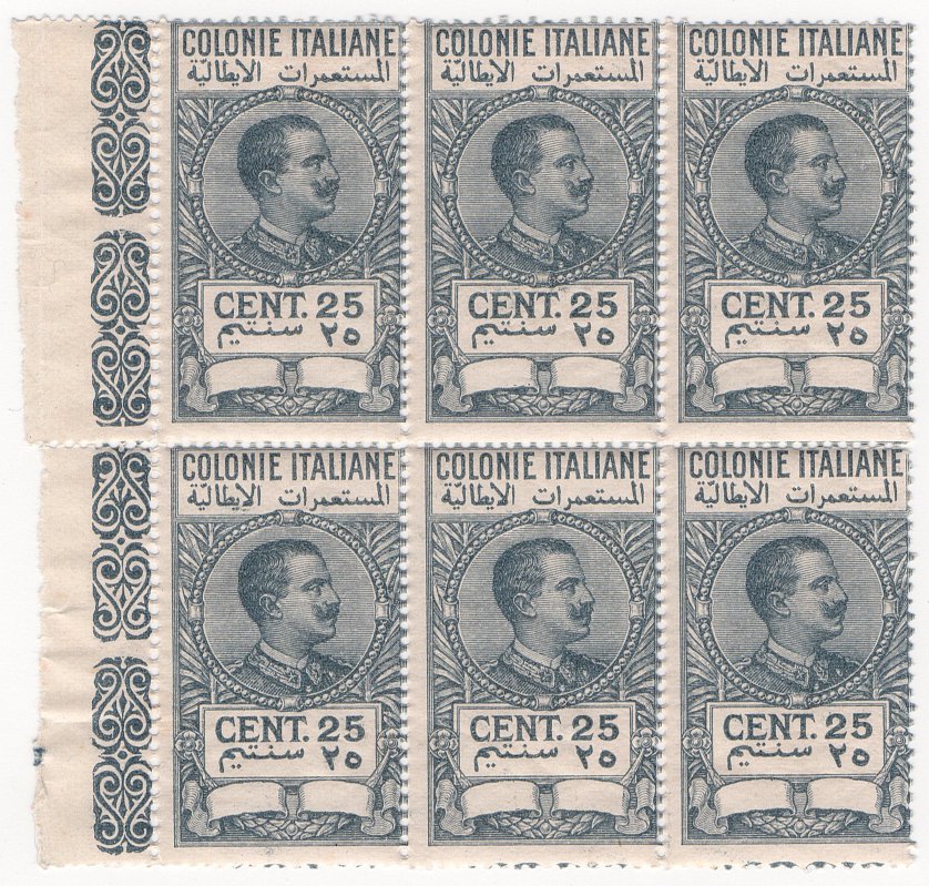 (I.B) Italy (Libya) Revenue : Duty Stamp 25c (1923)