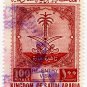 (I.B) Saudi Arabia Revenue : Re-Entry Visa 100r