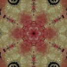 Abstract Fractal Art HD Desktop Wallpaper #3