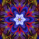 Abstract Fractal Art HD Desktop Wallpaper #12