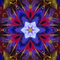 Abstract Fractal Art HD Desktop Wallpaper #12