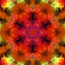 Abstract Fractal Art HD Desktop Wallpaper #14