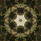 Abstract Fractal Art HD Desktop Wallpaper #16