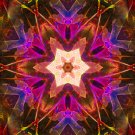 Abstract Fractal Art HD Desktop Wallpaper #18