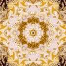 Abstract Fractal Art HD Desktop Wallpaper #20
