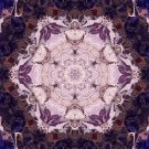 Abstract Fractal Art HD Desktop Wallpaper #22