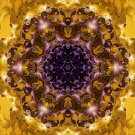 Abstract Fractal Art HD Desktop Wallpaper #26