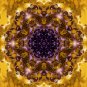 Abstract Fractal Art HD Desktop Wallpaper #26