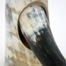 Drinking Horn for Vikings with Horn Stand