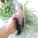 (15.01) Viking Drinking horn Skull Cross hand carved Celtic Beer Wine mead Pagan