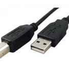 Dell 6' USB Type A Male to Type B Male