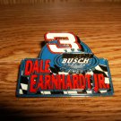 DALE EARNHARDT JR NASCAR BUSCH CHAMPION PIN
