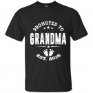 Promoted to grandma 2016 t-shirt