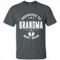 Promoted to grandma 2016 t-shirt