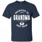Promoted to grandma 2016 t-shirt