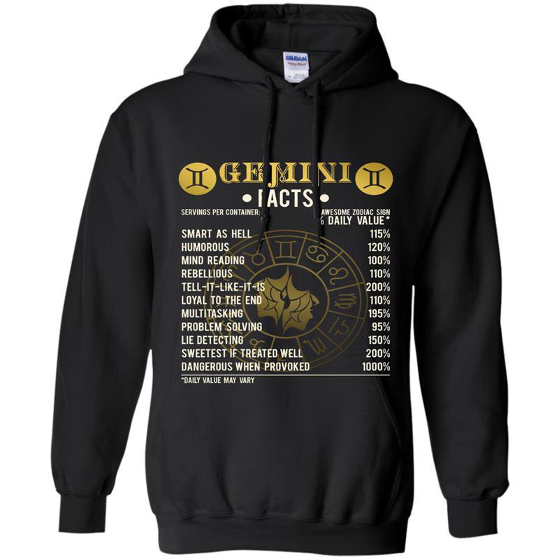 Gemini facts gemini awesome horoscope Hoodie