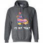 Id hit that pinata cinco de mayo party Hoodie