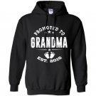 Promoted to grandma 2016 Hoodie