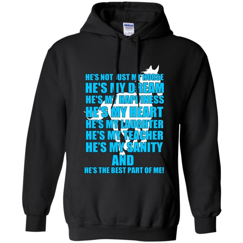 Hes not just my horse Hoodie