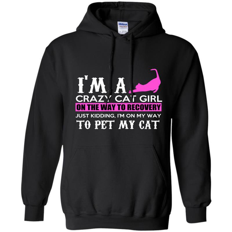 Im a crazy cat girl on the way to recovery Hoodie