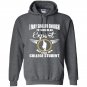 I may skilled enough to become an expert but still im a college student Hoodie